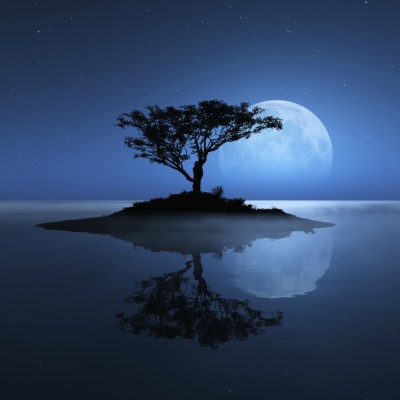 1920 x 1080 HD Wallpapers 1106